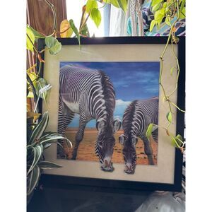 Zebras on the Move… you looking at me??…Sz 17"‎ x 17" x 1/2"